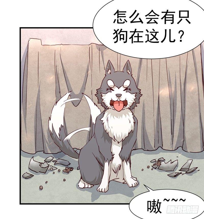 公主是男人韩漫全集-第011话 新角色登场！无删减无遮挡章节图片 