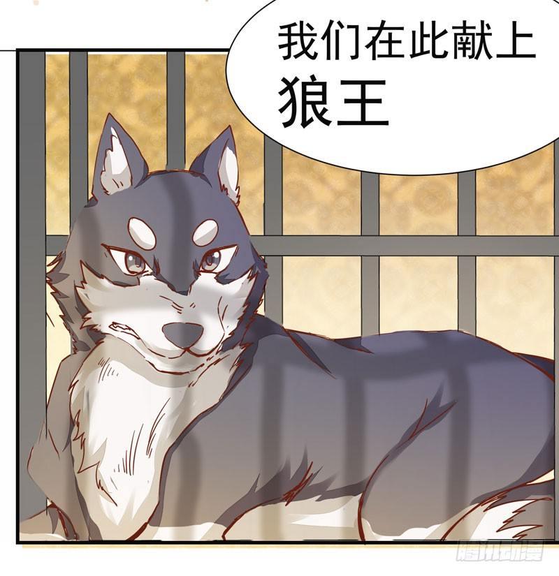 公主是男人韩漫全集-第006话 狼王竟是哈士奇无删减无遮挡章节图片 