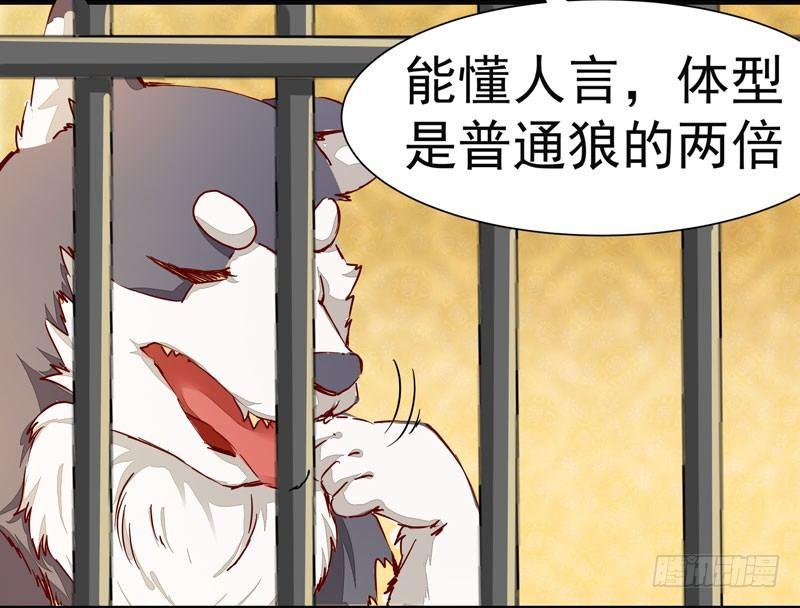 公主是男人韩漫全集-第006话 狼王竟是哈士奇无删减无遮挡章节图片 