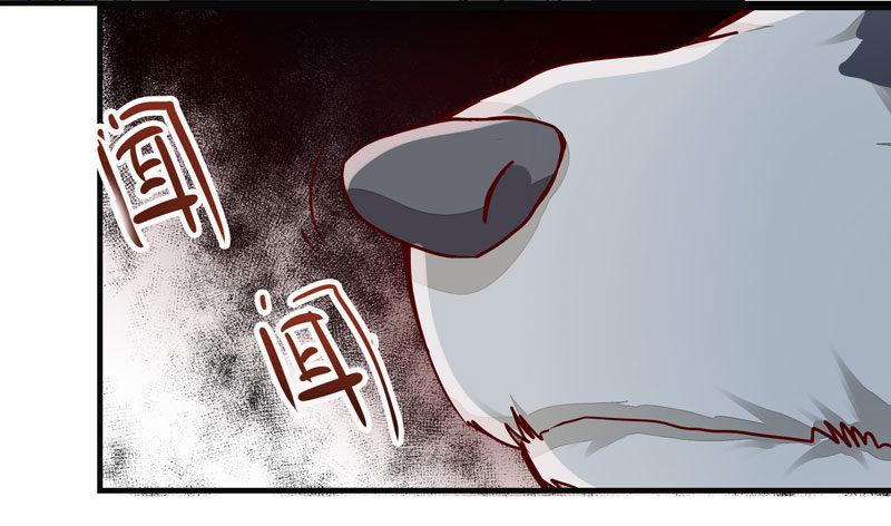 公主是男人韩漫全集-第006话 狼王竟是哈士奇无删减无遮挡章节图片 