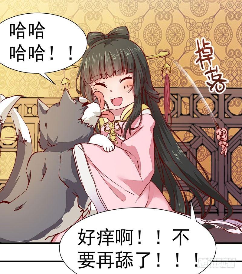 公主是男人韩漫全集-第006话 狼王竟是哈士奇无删减无遮挡章节图片 