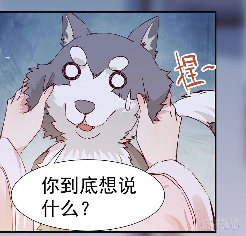 公主是男人韩漫全集-第008话 和我签订契约吧少女无删减无遮挡章节图片 