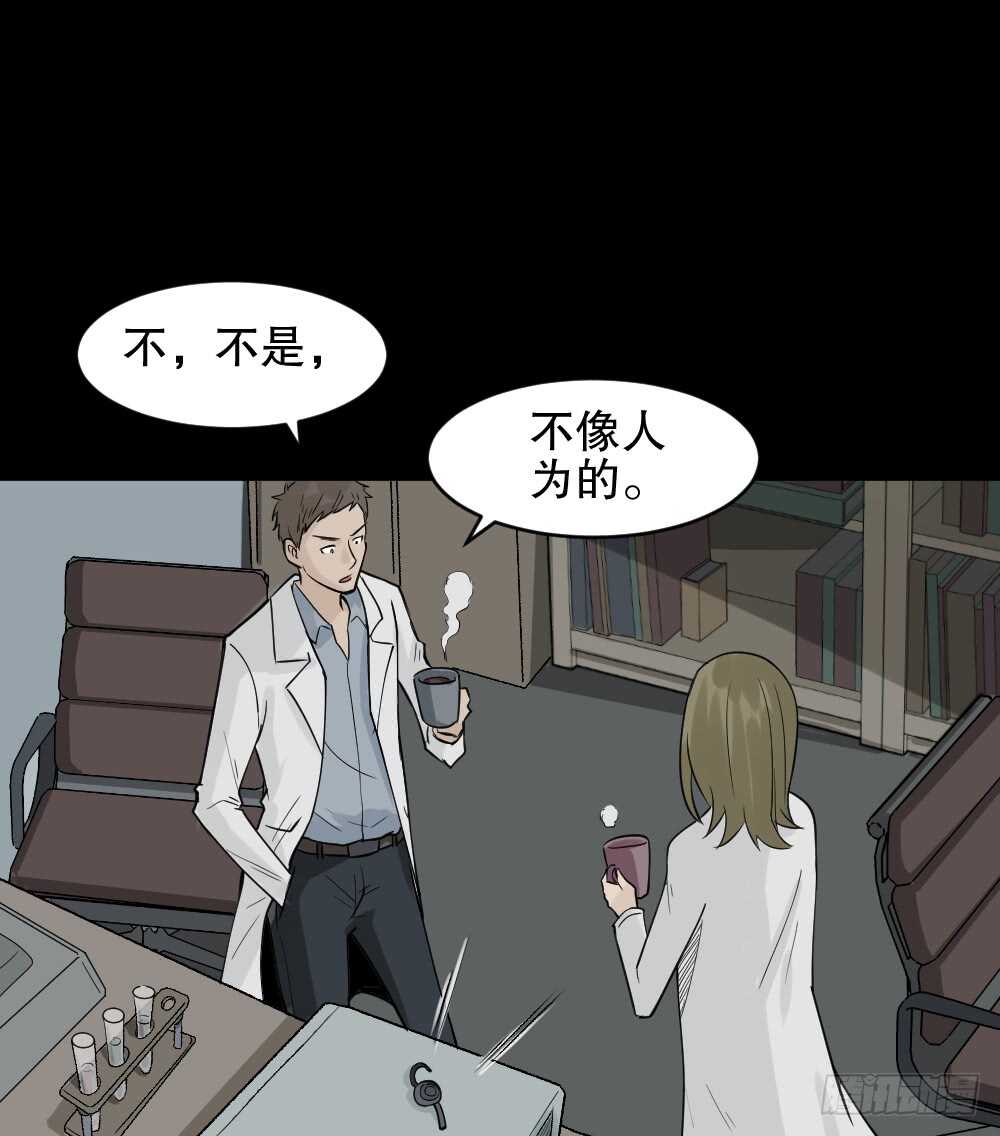 怪奇笔记韩漫全集-进化（2）无删减无遮挡章节图片 