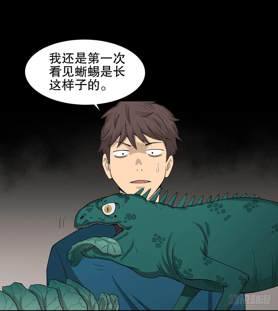 怪奇笔记韩漫全集-动物妈妈（3）无删减无遮挡章节图片 