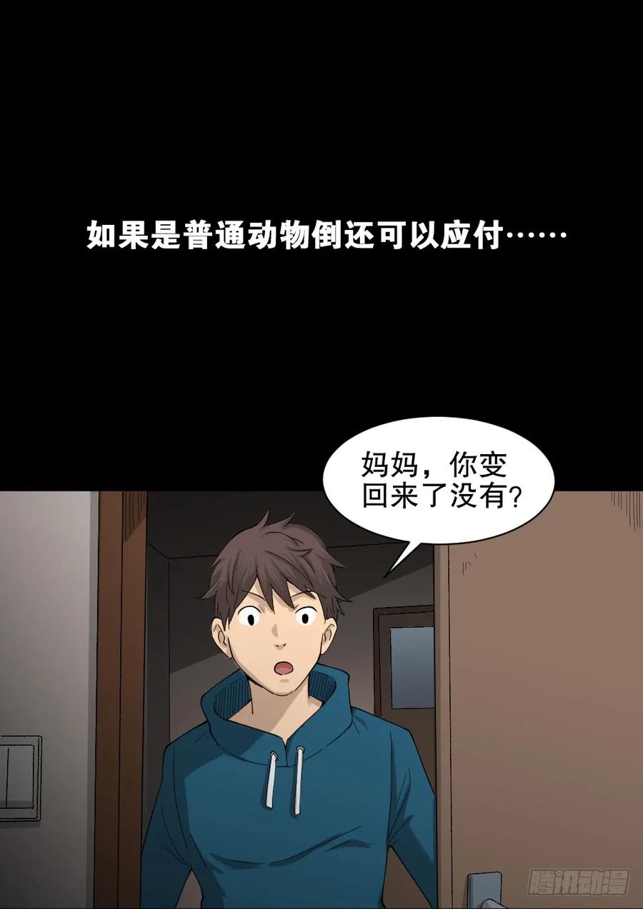 怪奇笔记韩漫全集-动物妈妈（3）无删减无遮挡章节图片 