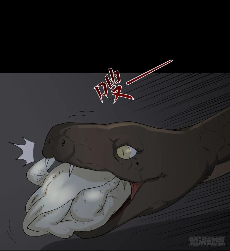 怪奇笔记韩漫全集-动物妈妈（3）无删减无遮挡章节图片 