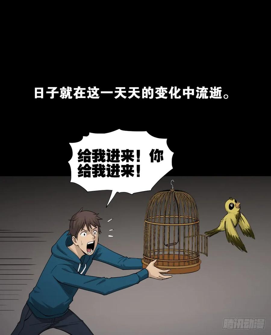 怪奇笔记韩漫全集-动物妈妈（3）无删减无遮挡章节图片 