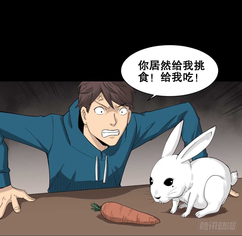 怪奇笔记韩漫全集-动物妈妈（4）无删减无遮挡章节图片 
