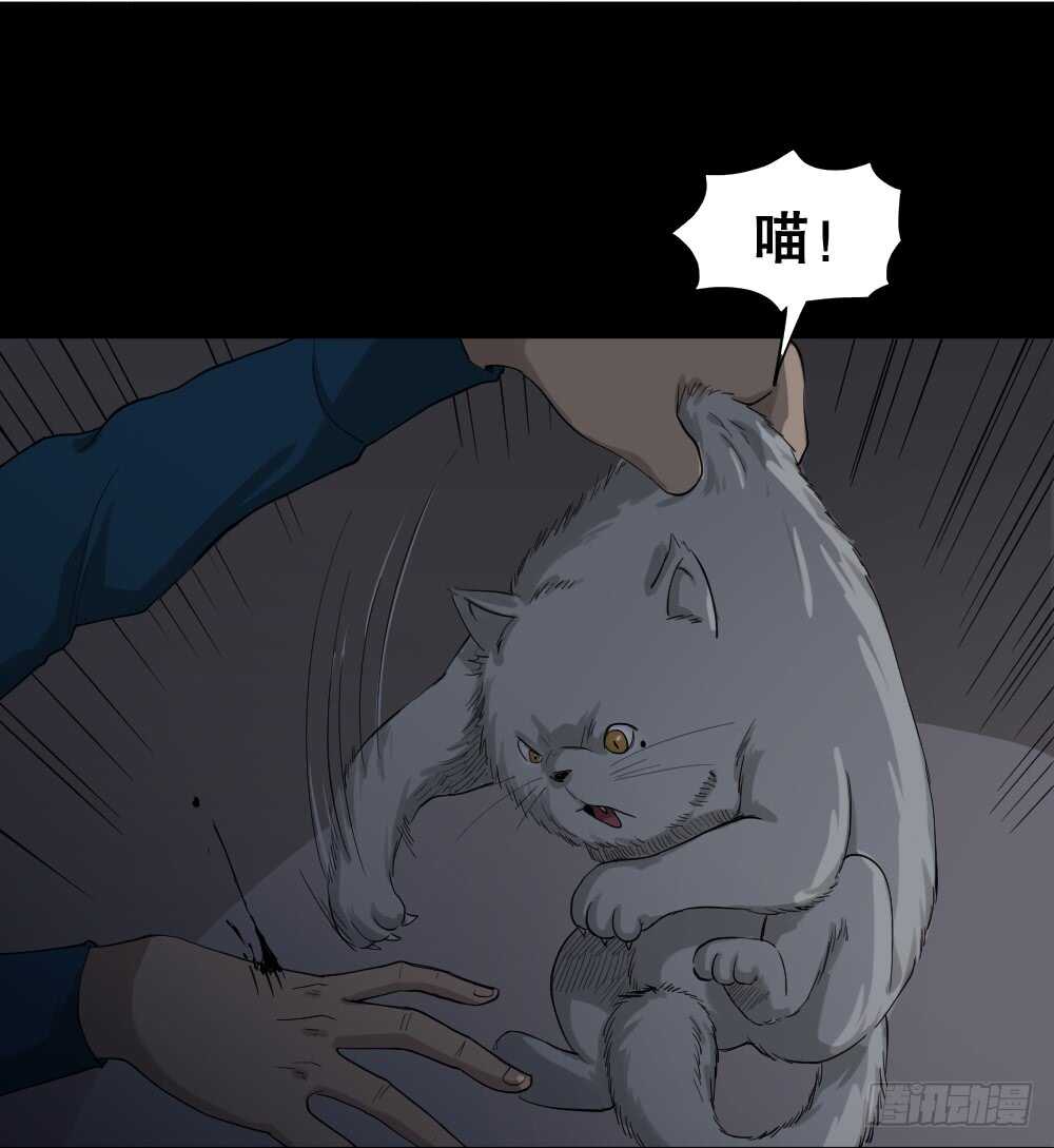 怪奇笔记韩漫全集-动物妈妈（4）无删减无遮挡章节图片 