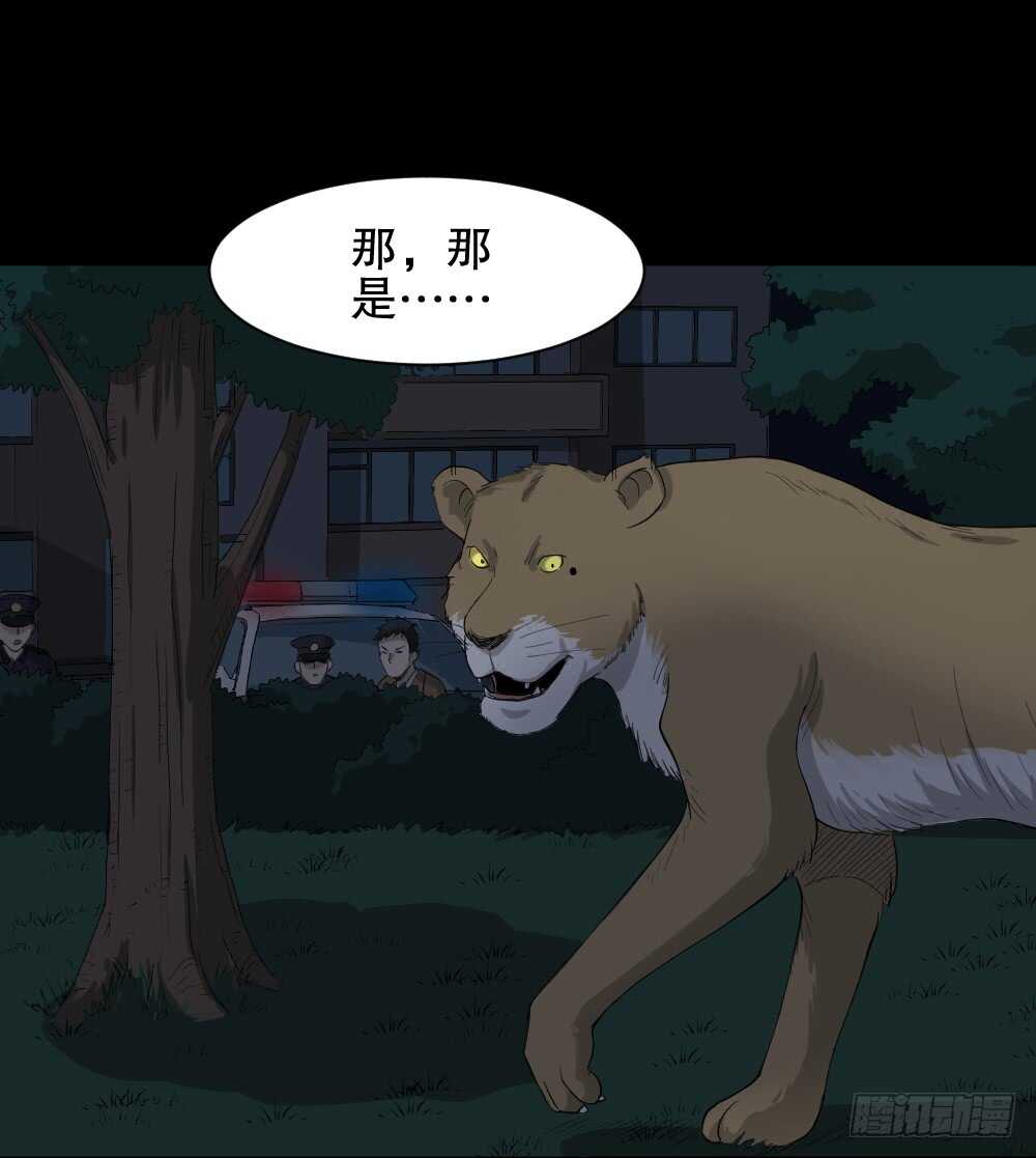 怪奇笔记韩漫全集-动物妈妈（5）无删减无遮挡章节图片 