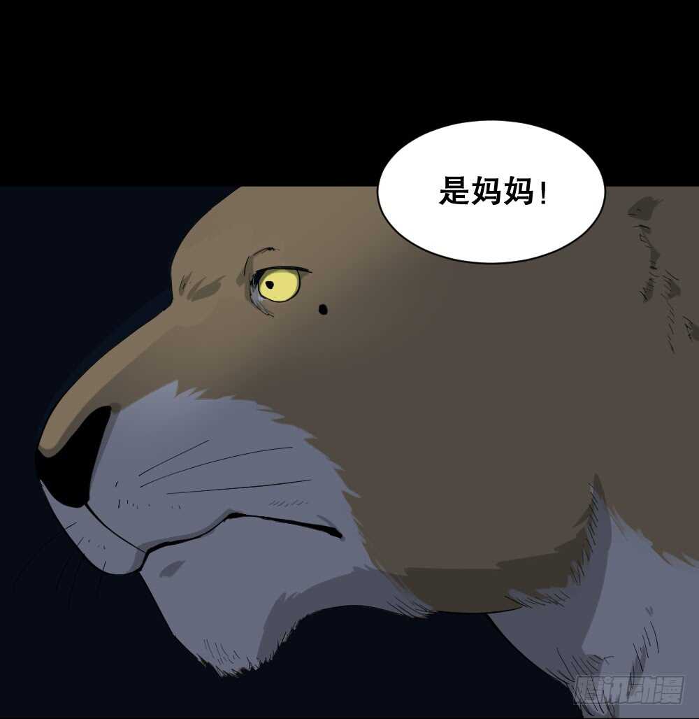 怪奇笔记韩漫全集-动物妈妈（5）无删减无遮挡章节图片 
