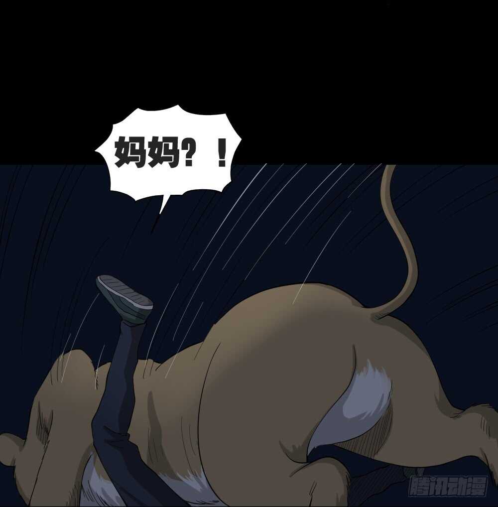 怪奇笔记韩漫全集-动物妈妈（6）无删减无遮挡章节图片 