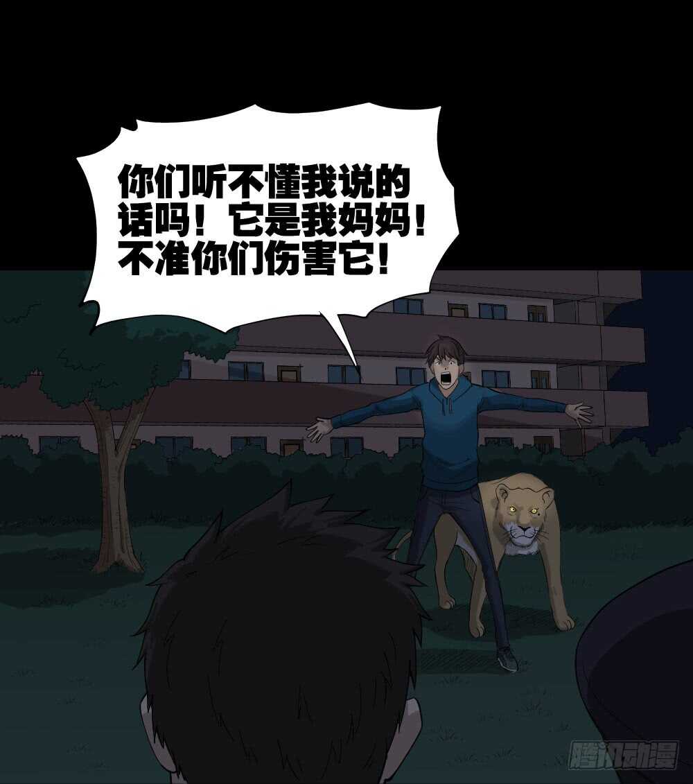 怪奇笔记韩漫全集-动物妈妈（6）无删减无遮挡章节图片 