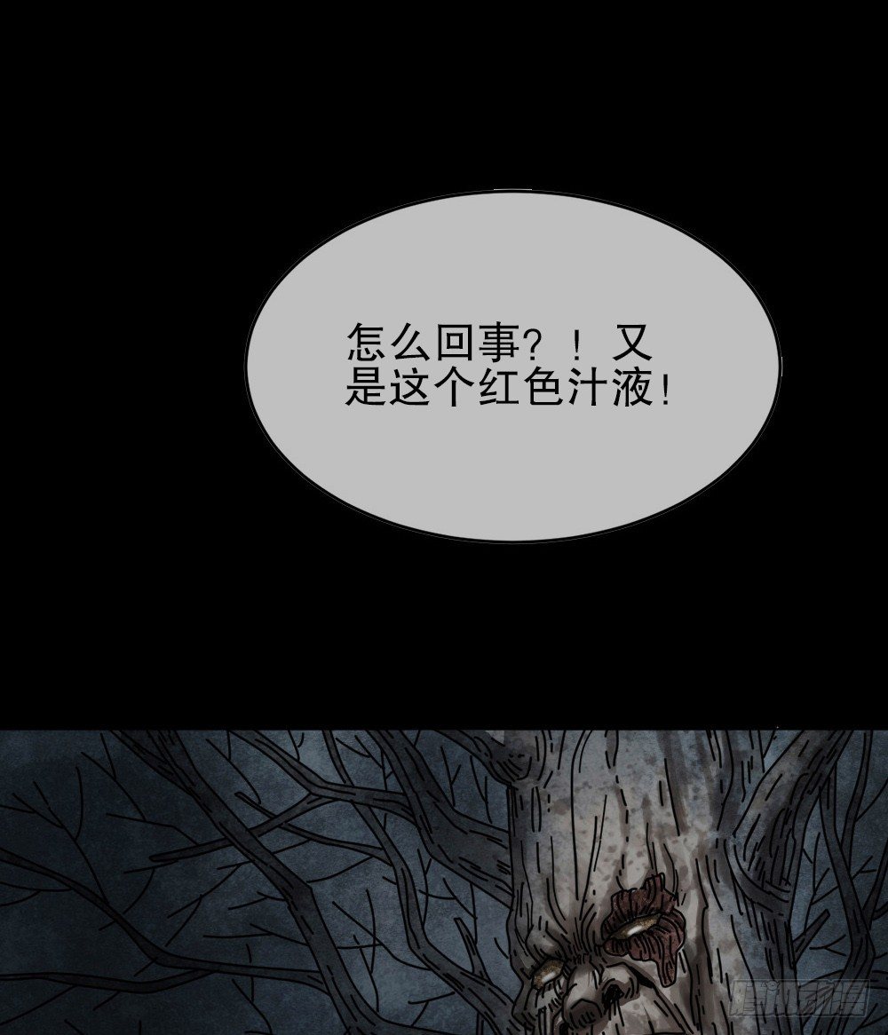 怪奇笔记韩漫全集-血树无删减无遮挡章节图片 