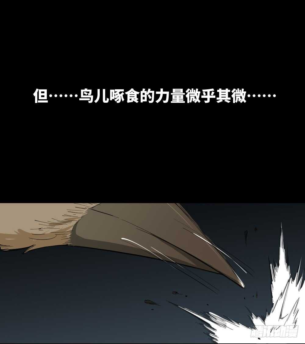 怪奇笔记韩漫全集-树的报仇（2）无删减无遮挡章节图片 
