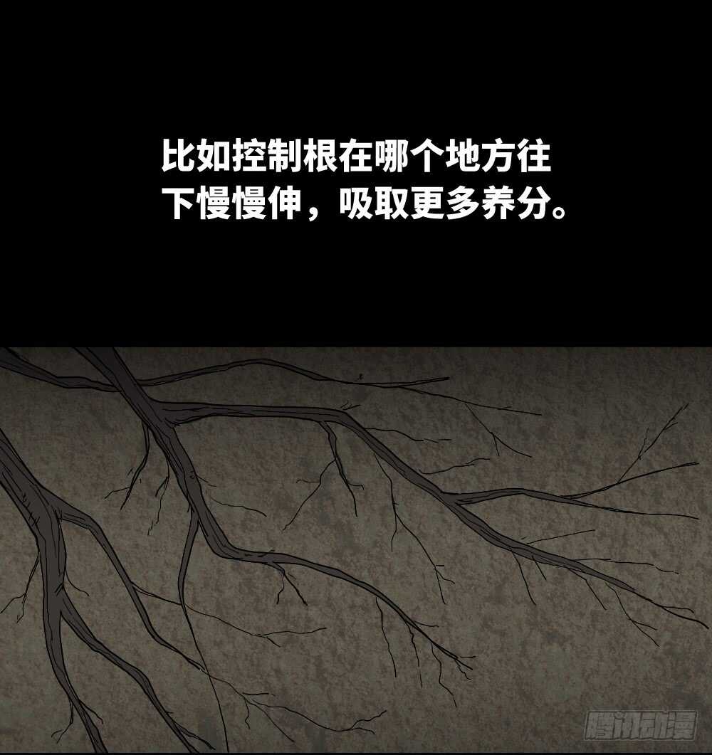 怪奇笔记韩漫全集-树的报仇（2）无删减无遮挡章节图片 