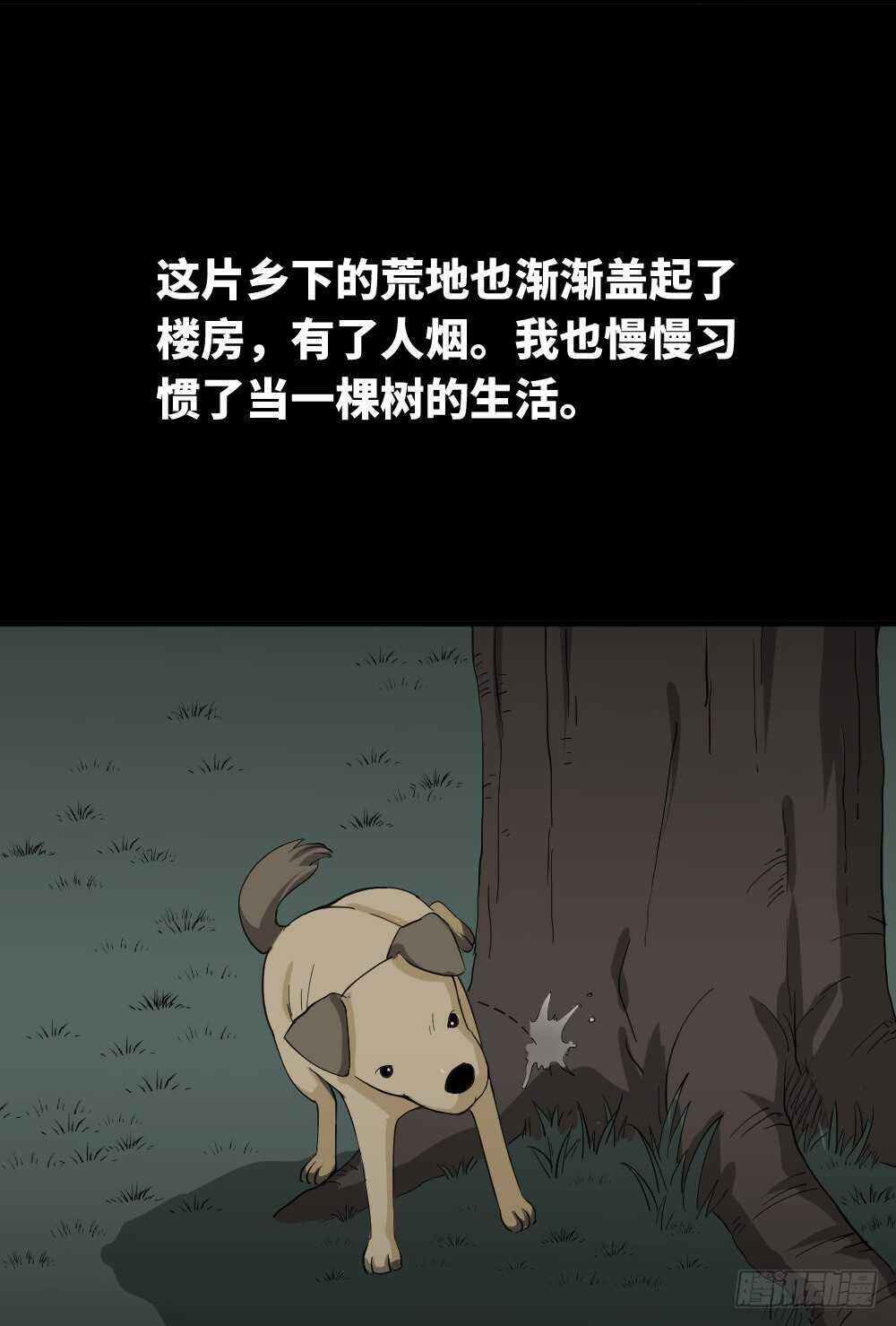 怪奇笔记韩漫全集-树的报仇（3）无删减无遮挡章节图片 