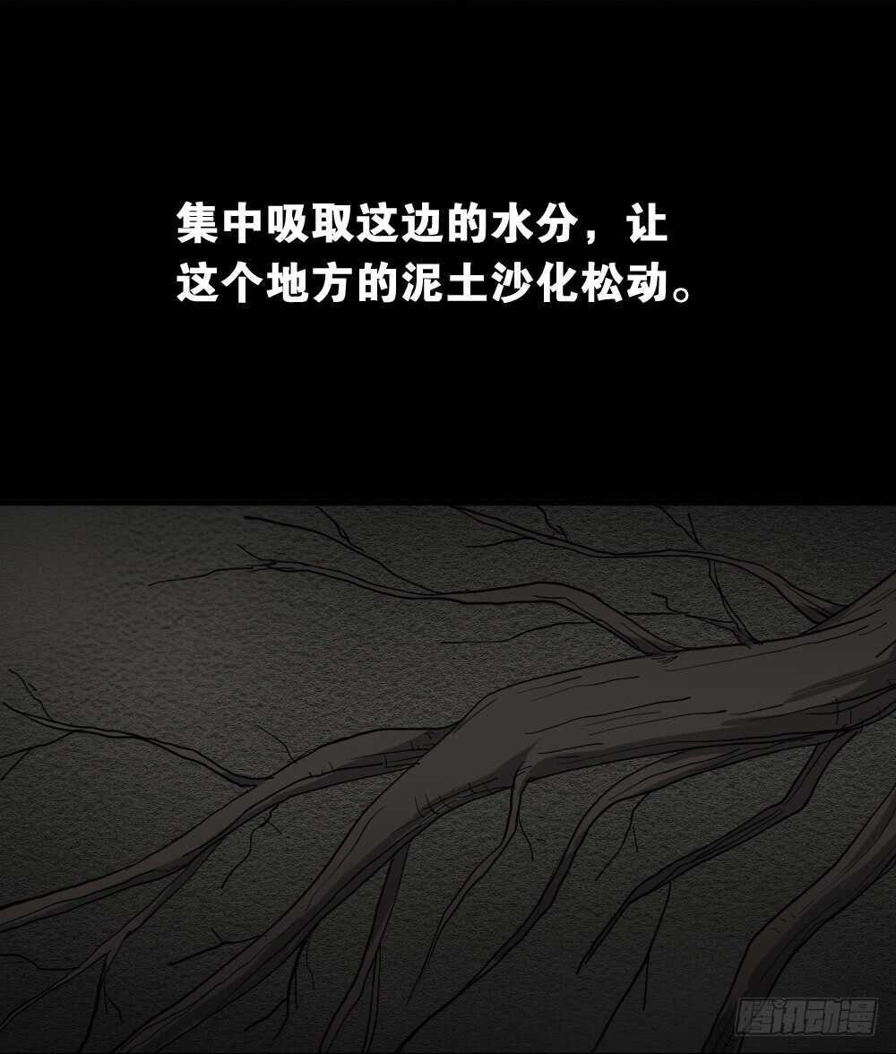 怪奇笔记韩漫全集-树的报仇（4）无删减无遮挡章节图片 