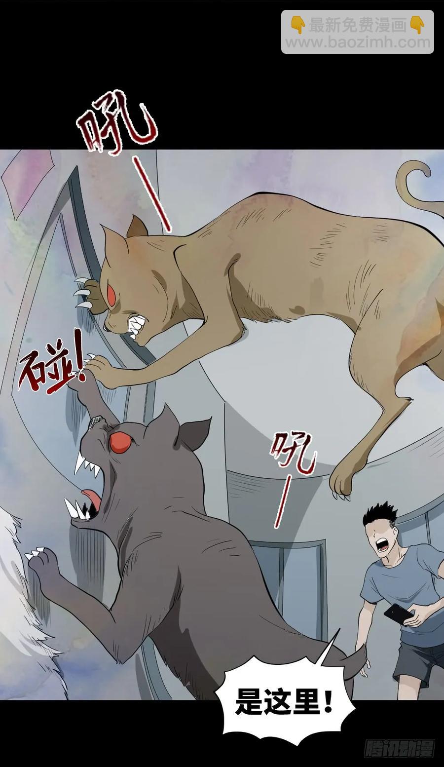 怪奇笔记韩漫全集-食梦（3）无删减无遮挡章节图片 