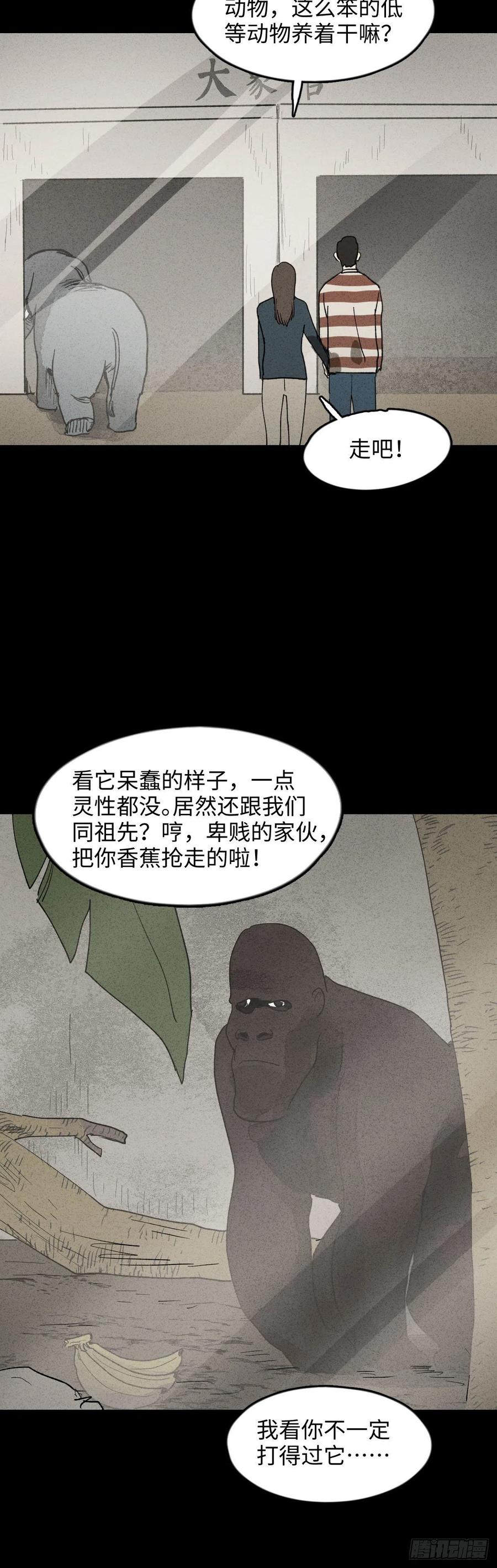怪奇笔记韩漫全集-动物园无删减无遮挡章节图片 