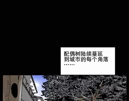 怪奇实录韩漫全集-第12话 配偶树（下）无删减无遮挡章节图片 