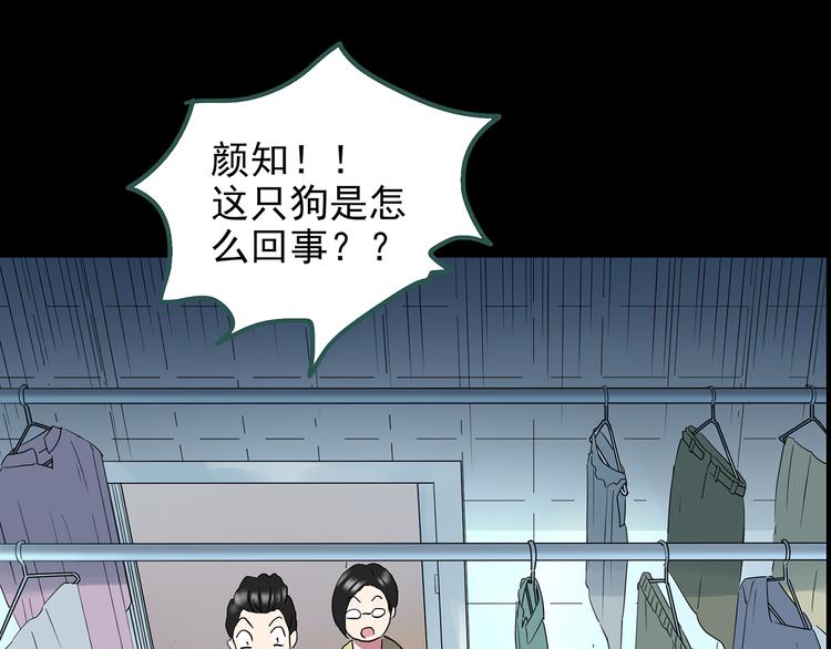 怪奇实录韩漫全集-第144话 怪之狗 三无删减无遮挡章节图片 