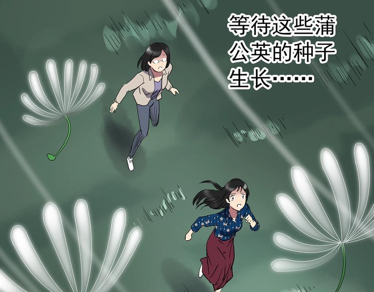 怪奇实录韩漫全集-第215话 美丽的蒲公英(下)无删减无遮挡章节图片 