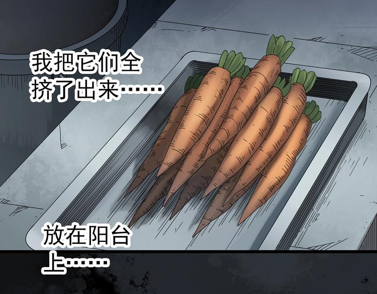 怪奇实录韩漫全集-第264话  小怪奇无题无删减无遮挡章节图片 