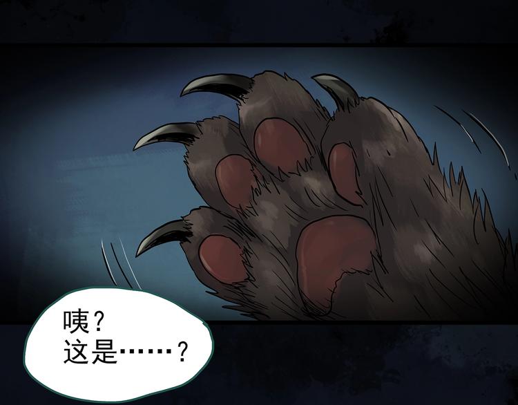 怪奇实录韩漫全集-第269话   貂皮大衣  上无删减无遮挡章节图片 