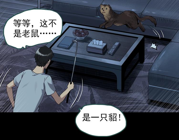 怪奇实录韩漫全集-第270话   貂皮大衣  中无删减无遮挡章节图片 