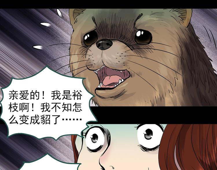 怪奇实录韩漫全集-第270话   貂皮大衣  中无删减无遮挡章节图片 