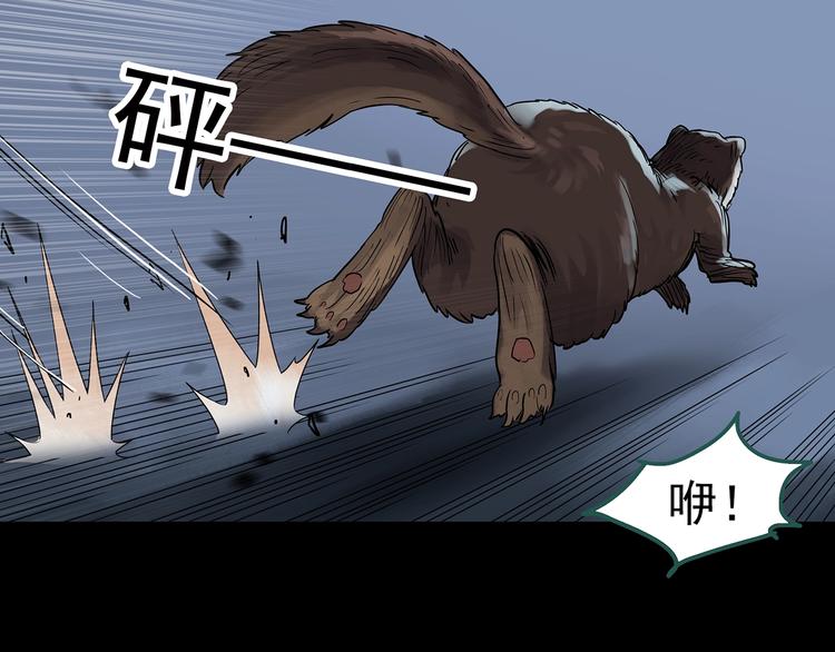 怪奇实录韩漫全集-第270话   貂皮大衣  中无删减无遮挡章节图片 