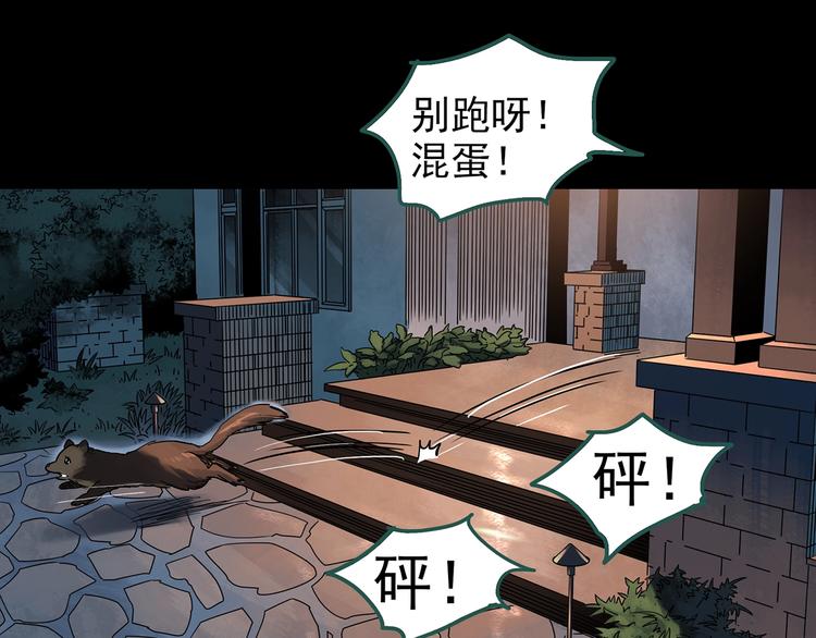怪奇实录韩漫全集-第270话   貂皮大衣  中无删减无遮挡章节图片 