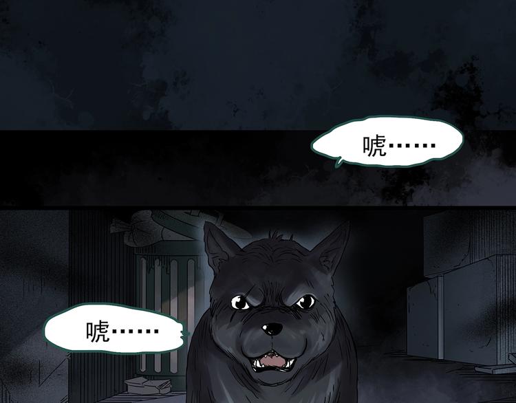 怪奇实录韩漫全集-第270话   貂皮大衣  中无删减无遮挡章节图片 