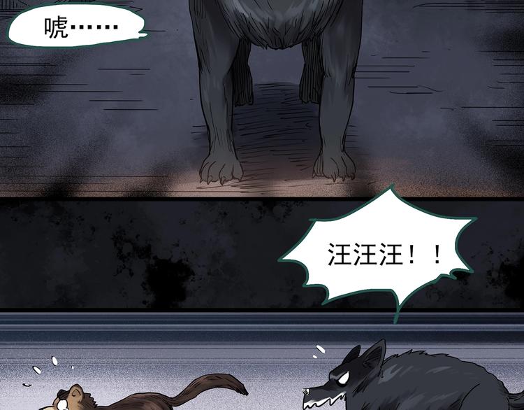 怪奇实录韩漫全集-第270话   貂皮大衣  中无删减无遮挡章节图片 