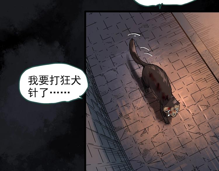 怪奇实录韩漫全集-第270话   貂皮大衣  中无删减无遮挡章节图片 