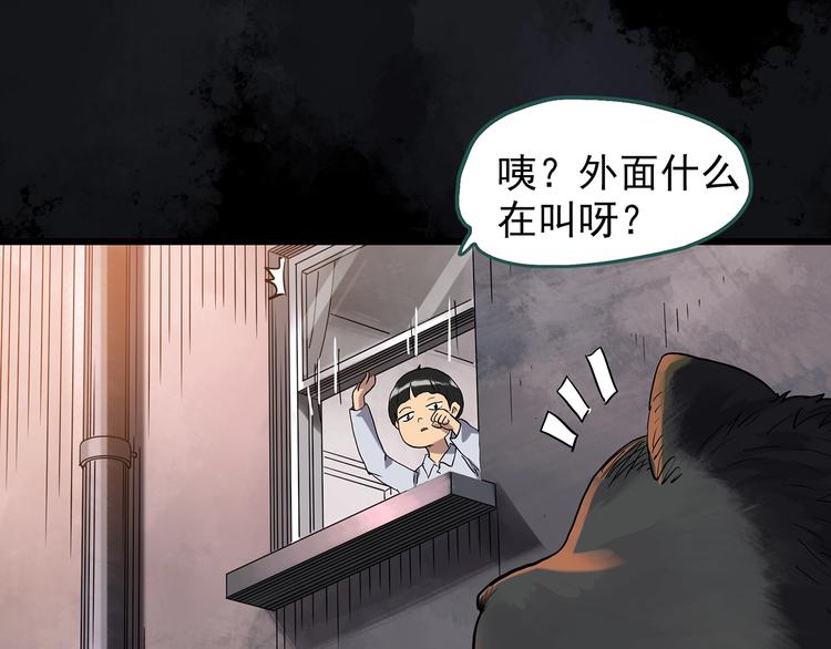 怪奇实录韩漫全集-第270话   貂皮大衣  中无删减无遮挡章节图片 