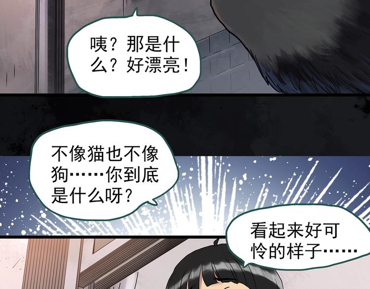 怪奇实录韩漫全集-第270话   貂皮大衣  中无删减无遮挡章节图片 