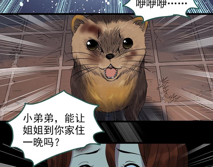 怪奇实录韩漫全集-第270话   貂皮大衣  中无删减无遮挡章节图片 