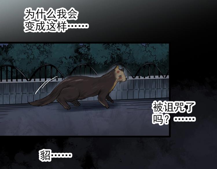 怪奇实录韩漫全集-第270话   貂皮大衣  中无删减无遮挡章节图片 