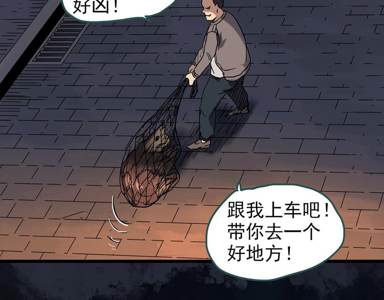 怪奇实录韩漫全集-第270话   貂皮大衣  中无删减无遮挡章节图片 