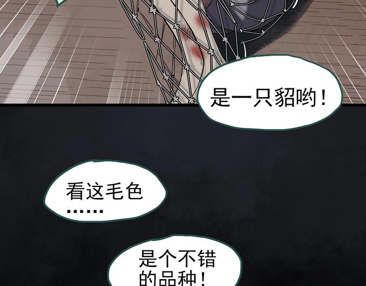 怪奇实录韩漫全集-第270话   貂皮大衣  中无删减无遮挡章节图片 