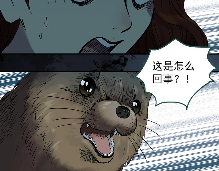 怪奇实录韩漫全集-第270话   貂皮大衣  中无删减无遮挡章节图片 