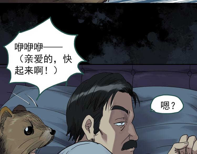 怪奇实录韩漫全集-第270话   貂皮大衣  中无删减无遮挡章节图片 