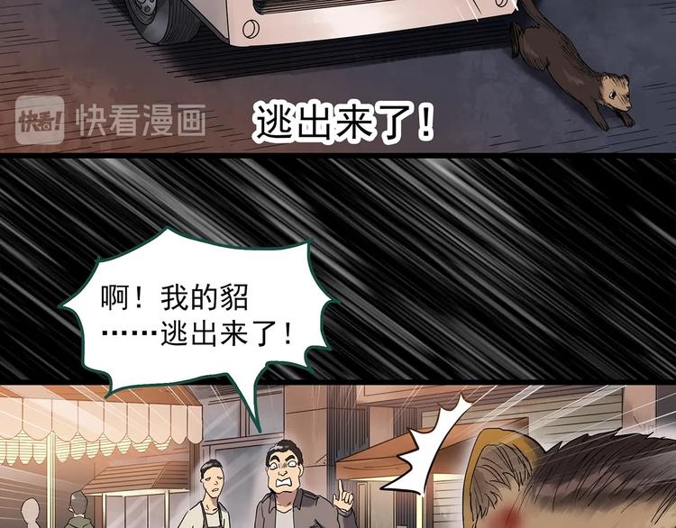 怪奇实录韩漫全集-第271话   貂皮大衣  下无删减无遮挡章节图片 