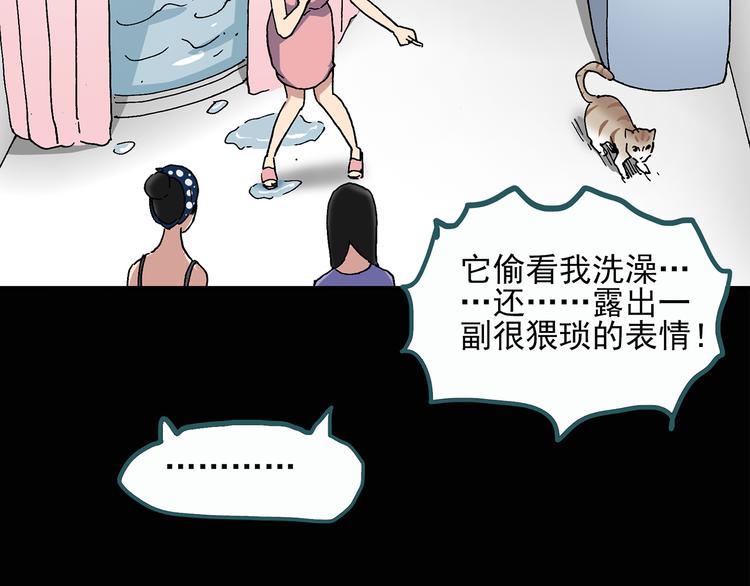 怪奇实录韩漫全集-第28话 怪之猫(上)无删减无遮挡章节图片 