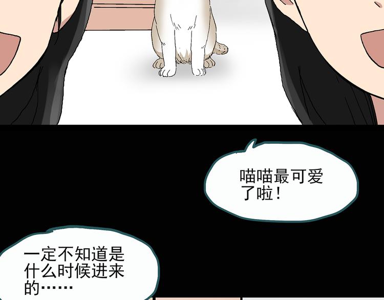怪奇实录韩漫全集-第28话 怪之猫(上)无删减无遮挡章节图片 