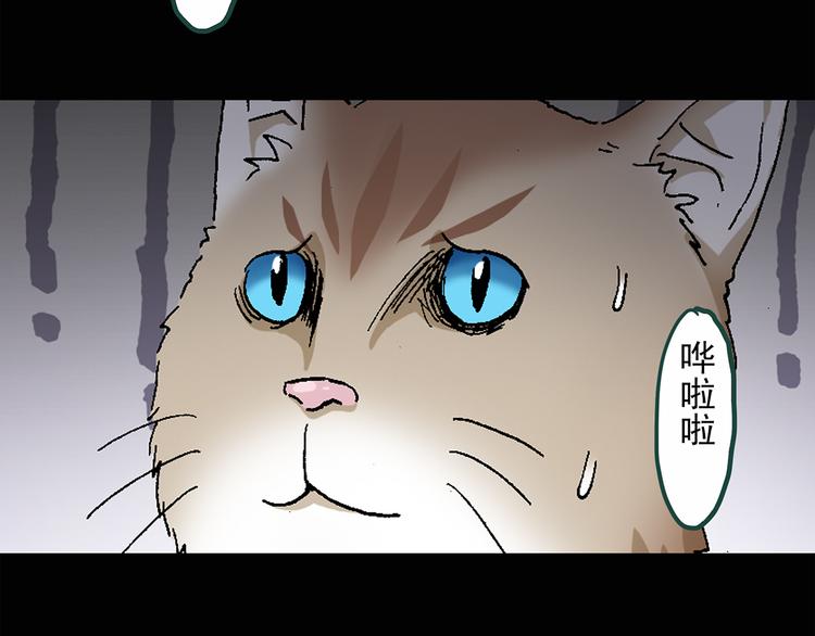 怪奇实录韩漫全集-第30话 怪之猫(中2)无删减无遮挡章节图片 