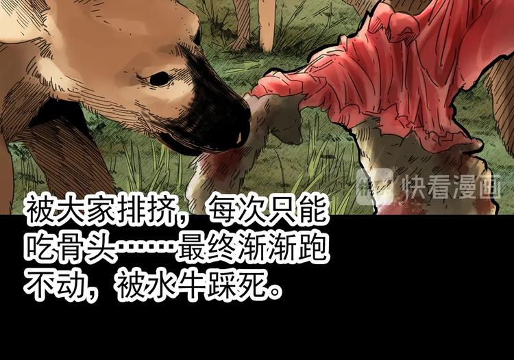 怪奇实录韩漫全集-第318话 恶魔换脸术（一）无删减无遮挡章节图片 