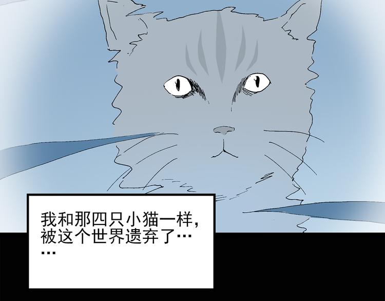 怪奇实录韩漫全集-第31话  怪之猫（下）无删减无遮挡章节图片 